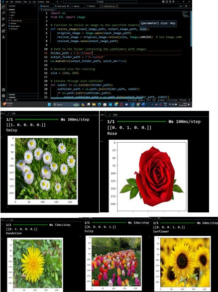 Flower Recognition